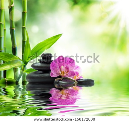 spa Background - purple orchids black stones and bamboo on water