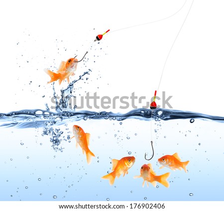 goldfish bait - capture and deception concept