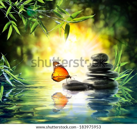 delicate concept - butterfly on water in garden