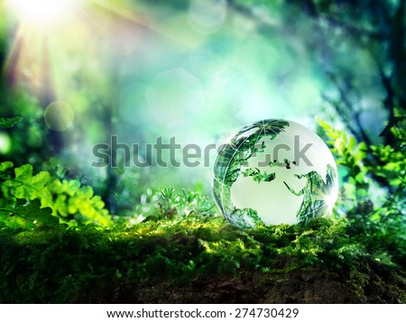 globe resting on moss in a forest - Europe and Africa - environment concept