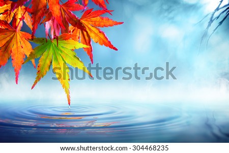 zen autumn- red maple leaves on pond