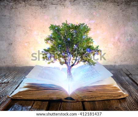 Tree Growing From The Old Book - Magic Shine