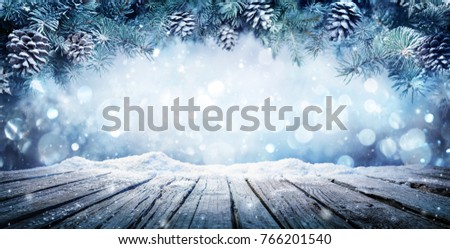 Winter Display - Fir Branches On Snowy Table