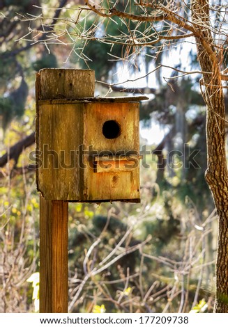 Bird House in the woods.