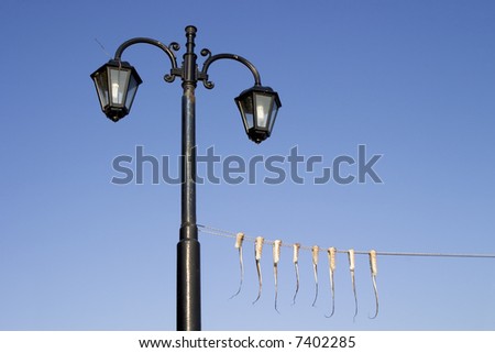 Arms of an octopus hanging from a rope, which is tied to a lamp post