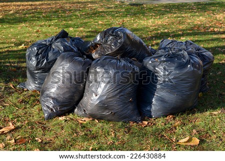 Black plastic bags with the fallen-down foliage lie on a grass