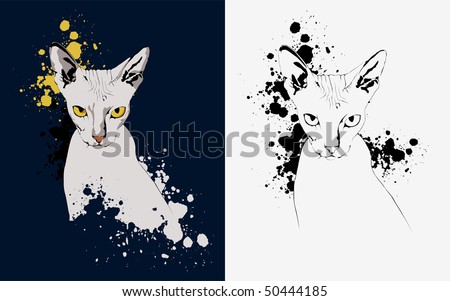 portrait of a cat on an abstract background, yellow eyes