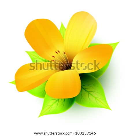 vector flower illustration