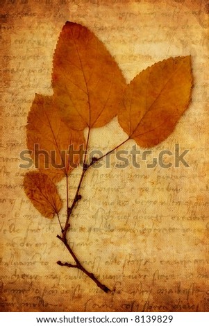 Decorative leaves