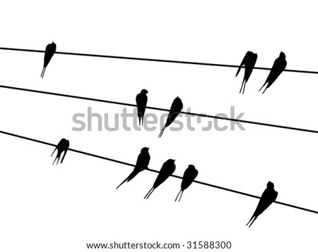 stock vector : vector bird silhouettes