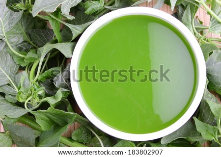 Spinach soup, vegetarian food with fresh spinach leaves.