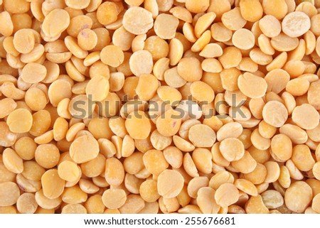 Organic ,unpolished Toor dal, famous Indian legume also called yellow Pigeon peas.Selective focus.