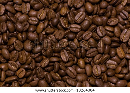 Lots of coffee beans