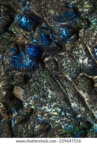 Dark blue stone texture background