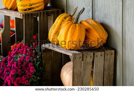decorative display of fall pumpkins and mums on old wood crates