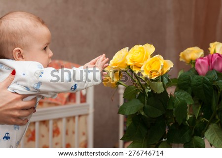 baby stretches his hands to the flowers. curious child wants to touch the flowers. child experiences new sensations