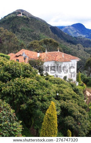the house is located in the jungle. coffee plantations in the mountains. plantations in Colombia