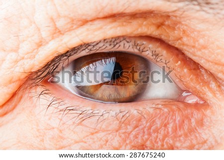brown eyes close-up. wrinkles on the face of the elderly . look into the distance