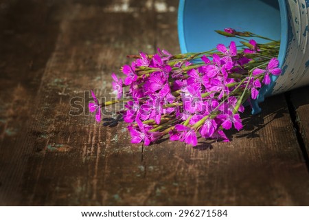 lovely bouquet of wild flowers in a jug handmade. focus on the petals of a flower. there is room for designer labels . Picture perfect for greetings and announcements