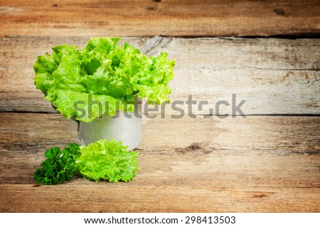 lettuce in a retro cup. true rural composition . natural eco-friendly product . Lettuce plucked from the ground. there\'s space for an inscription