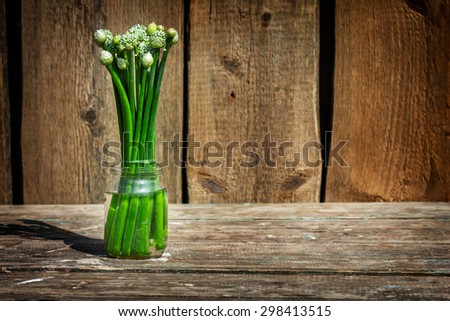 green onions in a glass jar . Rural composition texture board. bouquet blooming onion