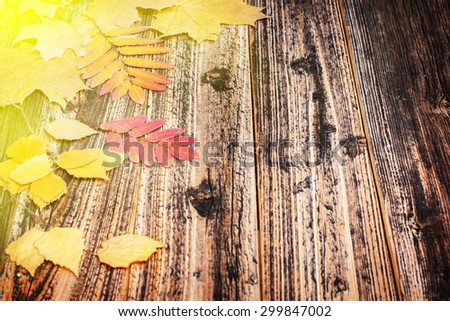 soon fall . Conceptual photography for backgrounds and inscriptions. yellow and red leaves on the old board texture . We are preparing for the fall. toned photo