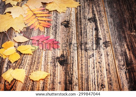 soon fall . Conceptual photography for backgrounds and inscriptions. yellow and red leaves on the old board texture . We are preparing for the fall