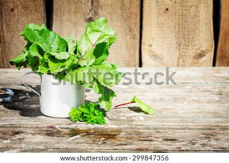 beet bunch of leaves in a retro cup. true village style . eco-friendly ingredients for vegan salad. Rural texture . there's space for an inscription