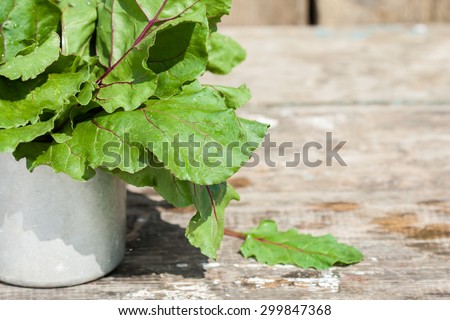 beet bunch of leaves in a retro cup. true village style . eco-friendly ingredients for vegan salad. Rural texture . there\'s space for an inscription. close-up