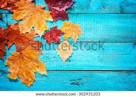 autumn leaves on a beautiful board. wet leaves after a rain. October and November leaves . background for photos . water drops. there is a place for an inscription. top view