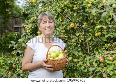 Senior woman with apples in the garden