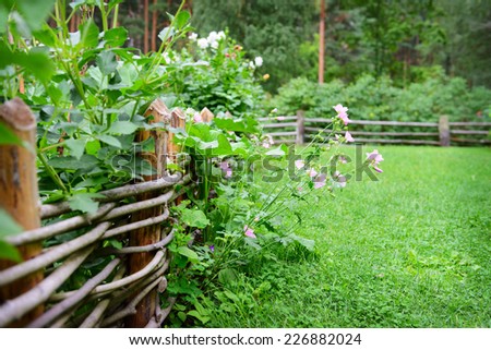 Flowers on a fence