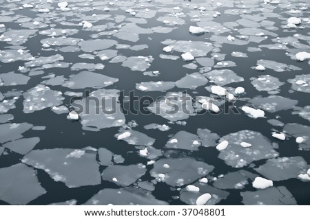 Sea ice floating in the still, cold waters of an Antarctic passage, looking like scattered puzzle pieces.