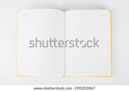 Torn blank lined notebook pages