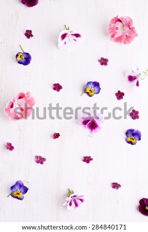 Scattered flowers on a white background