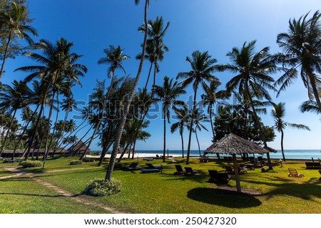 Kenya, Africa, Mombasa hotel ocean, beach, sand, deck chairs, palm trees, coconuts, gozonnaya grass, morning, sun, sky, clouds, vacation, relaxation, vacation