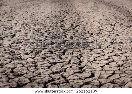 Drought, dry earth, crack, sun, peace, sadness, dried up water, a crack in the ground, dying without water, dry riverbed, dry river dry lake land
