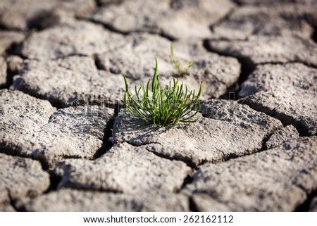 Drought, dry earth, crack, sun, peace, sadness, dried up water, a crack in the ground, dying without water, dry riverbed, dry river dry lake land