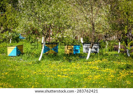 bee, farm, honey, apiary, beekeeping, hive, meadow, house, summer, nature, production, countryside, green, agriculture, grass, bees, beekeeper, wooden, hives, forest