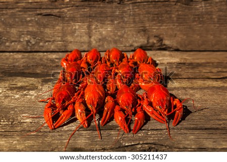 Cancers to beer, dill, boiled crawfish, beer snacks, pub, texture, crayfish, sea crayfish