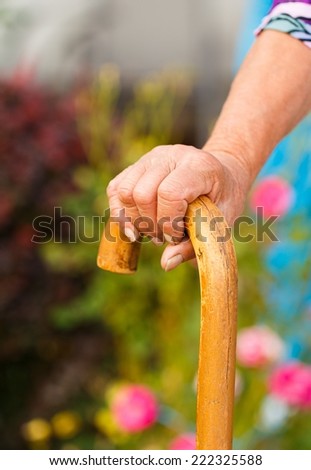 Old hand on stick - elderly woman on a walk in the garden.