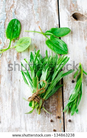 Fresh tarragon, spinach and spices. Selective focus