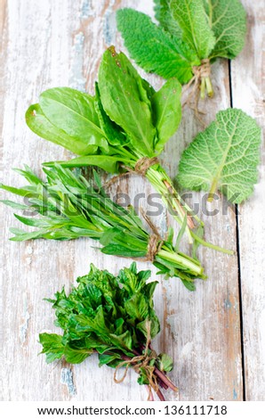 Fresh herbs ( sage, tarragon , mint and spinach ), selective focus