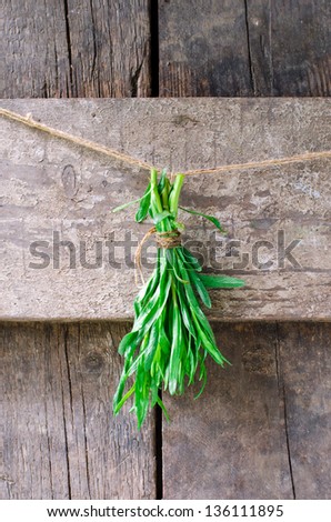 A bunch of fresh tarragon on the wooden background, selective focus