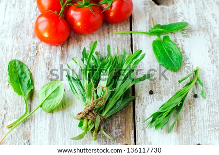 Fresh tarragon, spinach and spices, selective focus