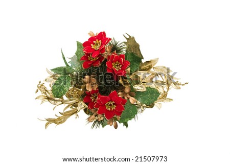 Christmas Flowers on Christmas Flowers  Green And Golden Leaves Isolated On White