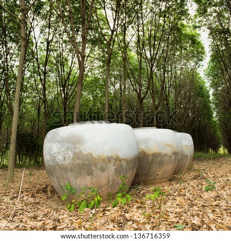 Aligned earthenware jar with used for water storage in rubber tree field