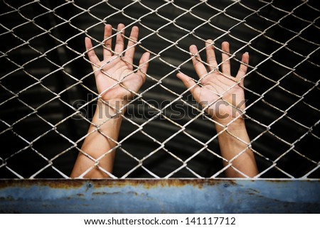 Hands of the prisoner in jail (image toned)