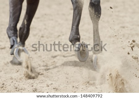 Flying sand under the hooves of the horses.