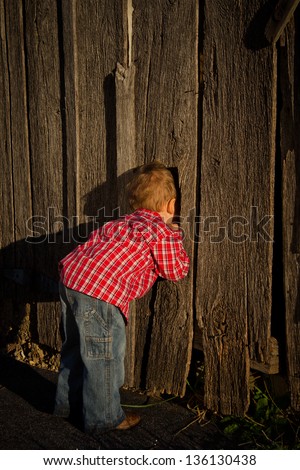 Young Boy Peering into a Crack in the Barn